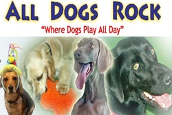 pet day care in palm beach