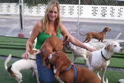 pet daycare in palm beach