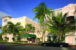 chesterfield hotel palm beach pet friendly