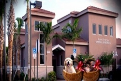 vet in palm beach