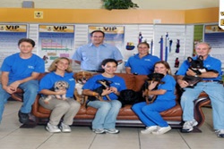 pet daycare in palm beach