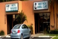 vet in palm beach